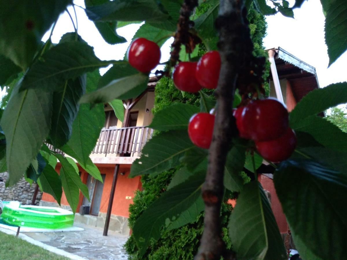 Casa vacanze Sunset House